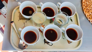 Linda Pokki lovar bjuda brandmännen på kaffe nästa gång de kommer. Skeden till vänster är en cupping-sked som man använder för att sörpla kaffe ur vid provsmakning. Flera kaffekoppar på en bricka.