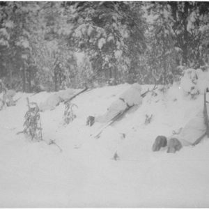 18.1.1940 Joutsijärvi. Hiihtopartio.