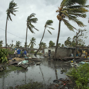 Invånare i Sofalaprovinsen i centrala Moçambique inspekterar skadorna efter stormen Idai den 16 mars 2019.