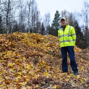 Parkarbetsledare Birger Holmström vid lövhögen som bara är påbörjad. birger holmström