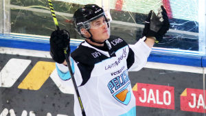 Den 25-årige Julius Honka har inte gett upp drömmen om en permanent NHL-plats. Pelicans back Julius Honka firar 4–3-segermålet i Åbo.