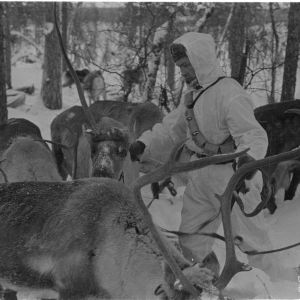 1.2.1940 Poropartio Petsamossa