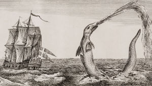 Ur boken The great Sea Serpent av Christian Jochum Pontoppidan. Boken gavs ut i slutet av 1700-talet. Ett stort, gammalt segelfartyg med stor korsflagga seglar förbi ett långsmalt sjöodjur. Ur boken The great Sea Serpent av Christian Jochum Pontoppidan (1739-1807).