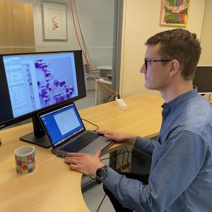 En person sitter vid datorn och tittar på AI-systemets bedömning av celler.