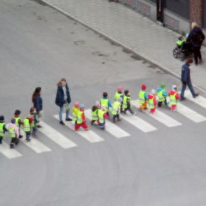En dagisgrupp i reflexvästar som går över ett övergångsställe.