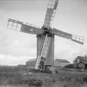 En man håller i en väderkvarns kvarnving och är redo att åka upp i luften med den. Bilden är tagen 1930 i Sund, Tranvik, Åland.