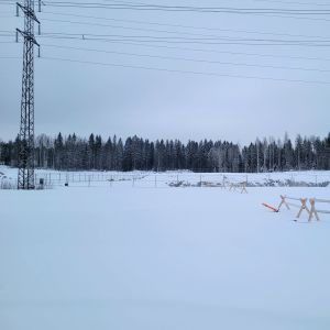 Ett snöigt skogslandskap med några stängsel i metall och trä, och en kraftledning.