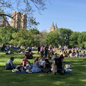 Sommarklädda människor på picnic i Central Park, med skyskrapor i bakgrunden