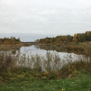 Pukinjärvi