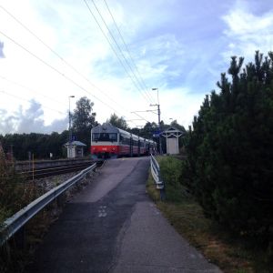 Ett litet grårött lokaltåg står på en station i landsbygden, buskar och gräs syns, en asfalterad gång till perrongen.