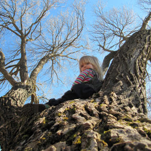Lapsi istuu vanhan puun rungolla
