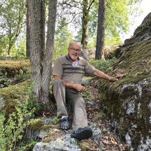 Svampplockaren Kurt Söderberg sitter mellan ett träd och en stor sten där han vanligtvis alltid brukar hitta kantareller. Nu syns inga svampar till.