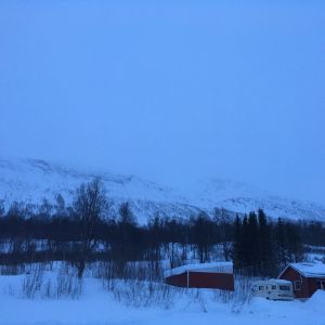 Blåbärsfjället i Tamokdalen i Norge