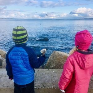 Två barn ser ut över havet utanför Tallinn en solig höstdag.