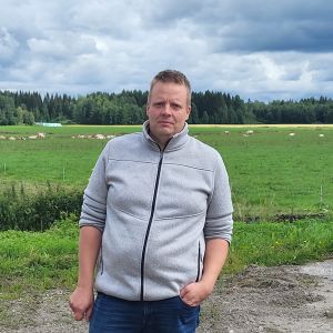En man står framför kor som betar på en äng. 