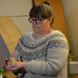 Nina Oksanen har haft hönor i tio år, men det är inte varje år hon skaffar kycklingar. En dam i grå tröja och glasögon håller en liten gul kyckling i sina händer.
