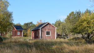 I Raseborg kan drömmen om ett gammalt rött torp med vita knutar bli sann. (Bilden här är dock en arkivbild från Åboland) Ett skärgårdshemman med ett rött torp med vita knutar och en gårdsbyggnad.