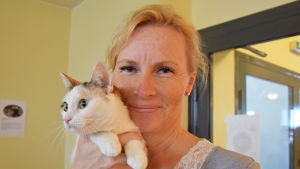 Pirkko Sonck lånade sex katter till kaféet. Patzmal är fyra år gammal och en ovanligt liten katt. Pirkko Sonck äger katterna i kattkafet i vik, katten heter Patzmal