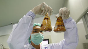 Forskare i Thailand framställer cannabisextrakt på ett sjukhuslaboratorium. 5 juli 2019 Forskare i Thailand framställer cannabisextrakt på ett sjukhuslaboratorium. 5 juli 2019