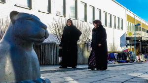 Kvinnor med utländsk bakgrund klarar sig sämre på arbetsmarknaden än män. Två äldre invandrarkvinnor i mörka kläder promenerar och diskuterar.
