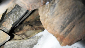 Det går också bra att kika in i grottan genom olika öppningar ifall man inte vill krypa in i den. En öppning till en grotta i ett berg.