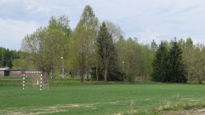 Kirsti Horns parkområde ska utvidgas. Skogsdunge som ska bli gräsplan i Sjundeå centrum.