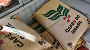 Till rosteriet kommer kaffebönorna i stora säckar som kan väga mellan 40 och 70 kilo. Det behövs två personer för att lyfta dem. Jutsäckar med kaffe i.