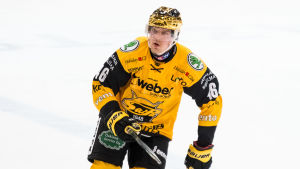 Teemu Ramstedt värvades till Kiekko-Espoo från SaiPa för att spela upp klubben till Mestis. Teemu Ramstedt i SaiPas tröja.