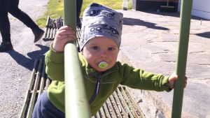 Just nu råder det babyboom i Jeppo. Det här är en liten Munsalabo. Just nu råder det babyboom i Jeppo. Det här är en liten Munsalabo.