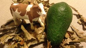 En leksaksko i plast bredvid en avokado. Torra löv ska symbolisera skövlad regnskog.