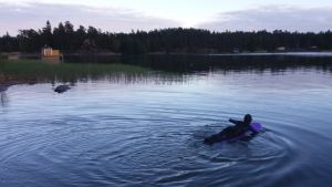 Malin Kivelä surfar till och med då havet inte samarbetar. Malin Kivelä padlar med surfbräde i skymningen på hav mellan skär