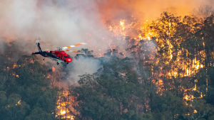 Viktig information såsom varningar för skogsbränder kan nu försvinna från Facebook i och med lagförslaget. Helikopter bekämpar skogsbränder i delstaten Victoria, Australien.