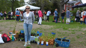 Tomatplantorna gick bäst åt på plantloppisen, berättar Brigitta Sirén-Mitts. Brigitta Sirén-Mitts säljer på plantloppis.