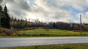 Utfodringsstället är placerat intill skogskanten, 300 meter från väg 51. En åker på andra sidan av en väg.