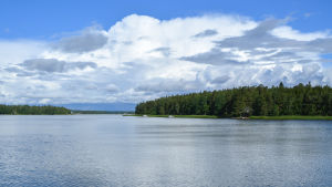 I Sibbo är naturen nära. Så här vacker är det på Norra Mölandet. En vik mellan två holmar.
