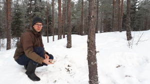 Mattias Kanckos säger att björnarna i Österbotten ofta har sitt ide nära diken och därför kan översvämningar väcka dem. Mattias Kanckos