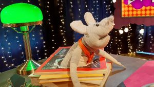 Plåstrets släktingar tar kontakt då de behöver hjälp med julförberedelserna i årets julkalender. Plåstret är en programledarmus i Svenska Yles barnprogram.
