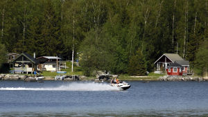 Mest rör sig folk med sjöskoter på ställen där det finns sommarstugor eller sjöskoteruthyrning. Arkivbild. Vattenskoter passerar strandbastu.