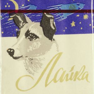 Lajka blev en nationalsymbol och idol. Den här bilden trycktes på cigarettpaket i Ryssland. Hunden Lajka på ett cigarrettpaket.