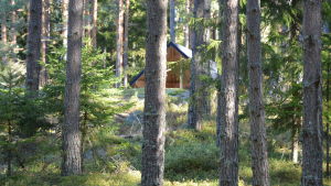 De första rutterna ska vara klara sommaren 2018. Vindskydd i skogen i Kimito