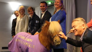 Juulia Jyläs, Emilia Bottas och Elisabeth "Ettan" Ehrnrooth tävlar i olika klasser i Helsingfors ishall. Ryttarna Juulia Jyläs, Emilia Bottas och Elisabeth "Ettan" Ehrnrooth tillsammans med tävlingsdirektör Tom Gordin inför Horse Show 2017.