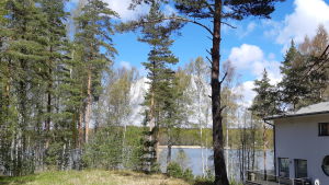 Det finns redan gamla bebyggda tomter på Marsudden. Ett hus på en av de gamla tomterna i Pickala-Marsudden.