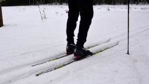 Nickbys skidspår är ännu i bra skick, menar skidåkaren som åker på sexkilometersrundan. En skidare i sibbo spåren.