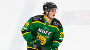 Tammerforspubliken lät sig inte imponeras av draftfemman. Barrett Hayton i Ilves tröja.