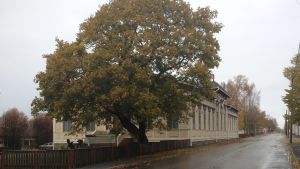 Kaskö stad klarar inte de ekonomiska utmaningarna utan att minska i personalen. Kaskö stadshus under en regning höstdag