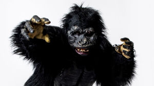 Galaxin Gorilla