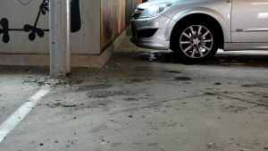 Det är lätt att märka vilka ställen som är poppis bland duvorna. Golvet är alldeles nersölat just där. Betonggolv i bilhall full med avföring. En bil står i en ruta bredvid