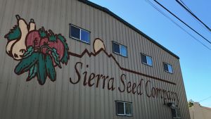 Sierra Seed Company är ett familjeföretag Sierra Seed Company finns i utkanten av Nogales i Arizona