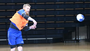 Det nuvarande landslagets mesta målskytt Teemu Tamminen hör till Finlands bärande krafter mot Bosnien-Hercegovina. Det nuvarande landslagets mesta målskytt Teemu Tamminen hör till Finlands bärande krafter mot Bosnien-Hercegovina.