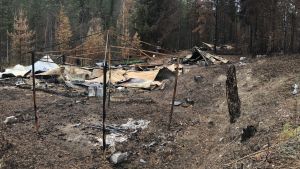 Då vi kör bil längre in i skogen på smala skogsvägar passerar vi en jaktstuga som har brunnit ner till grunden. Också fritidshus brann ner, men alla bostadshus klarade sig. Nedbrunna rester av ett fritidshus.